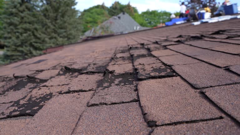 Best Storm Damage Roof Repair  in Kincheloe, MI