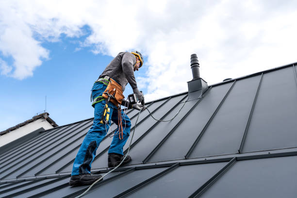 Best Steel Roofing  in Kincheloe, MI